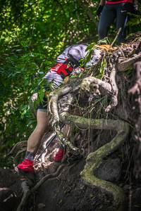 BIB: 
                            <button type="button" onclick="openModal(7068334)" class="btn btn-primary btn-sm float-right btn-popup" data-toggle="modal" data-target=".modal-high-quality">
                        <i class="fas fa-shopping-cart"></i> Add to Cart
                    </button>
                                            <button type="button" onclick="isThisMe(7068334, true)" class="btn btn-success btn-sm float-right btn-popup btn-isme hidden" data-toggle="tooltip" data-placement="bottom" title="นี่คือรูปของคุณใช่ไหม คลิกที่นี่เพื่อเอาเข้าอัลบั้ม">
                        <i class="fas fa-plus"></i> Add to album
                    </button>
                    <button type="button" onclick="isThisMe(7068334, false)" class="btn btn-warning btn-sm float-right btn-popup btn-isnotme hidden">
                        <i class="fas fa-ban"></i> Remove from album
                    </button>